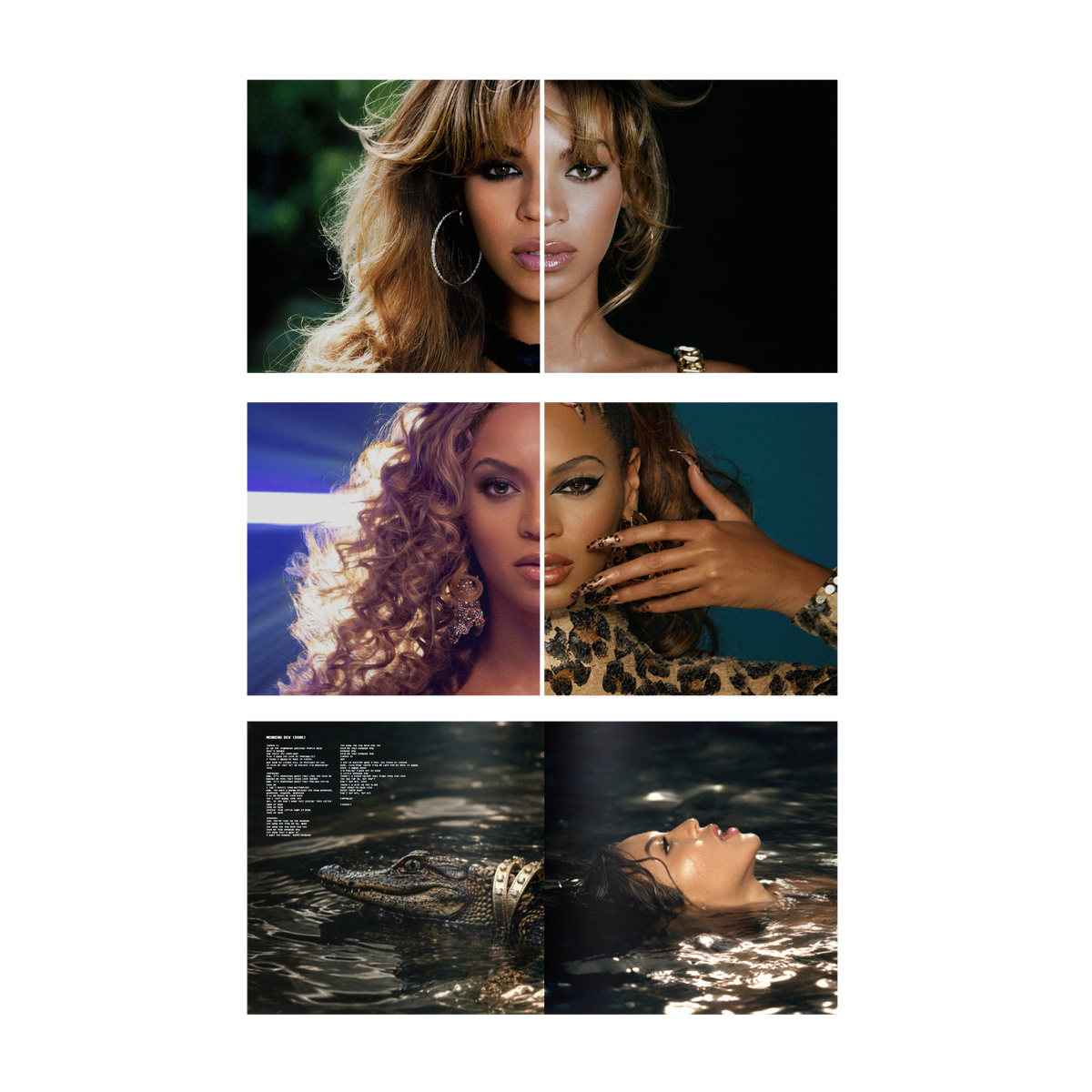 B'DAY Deluxe Edition vinyl gatefold spread, three panels of portraits and alligator photography